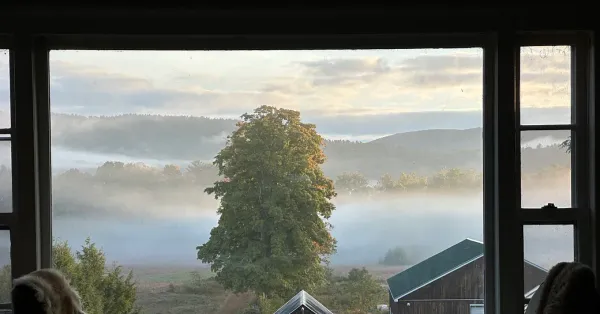 “Close observation is an act of love”: A Conversation with Creative Nonfiction Writer Jessie Petrow-Cohen